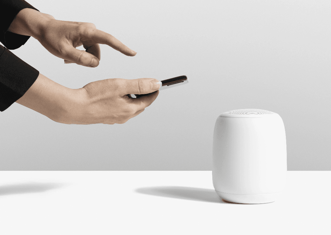 Voice Commerce/ Voice Assisted Shopping