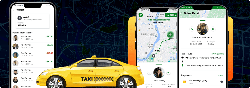 Taxi Case Study