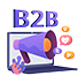 Custom B2B Website Services