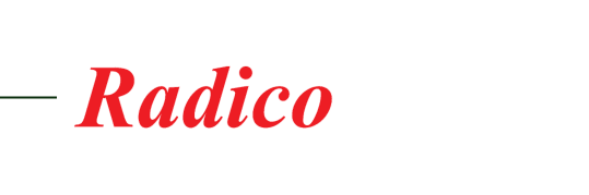 radico mall case study logo